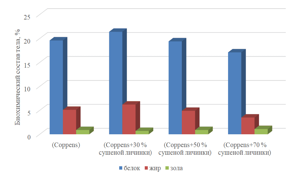 Исследование влияния частичной замены рациона форели и осетра на сушеную личинку черной львинки (Hermetia illucens).